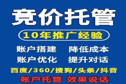 行业领先企业的SEM广告投放策略案例